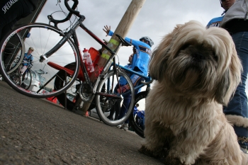 photo IWS 08/09